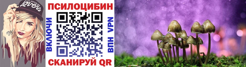Галлюциногенные грибы Magic Shrooms  где продают наркотики  блэк спрут ССЫЛКА  Апатиты 